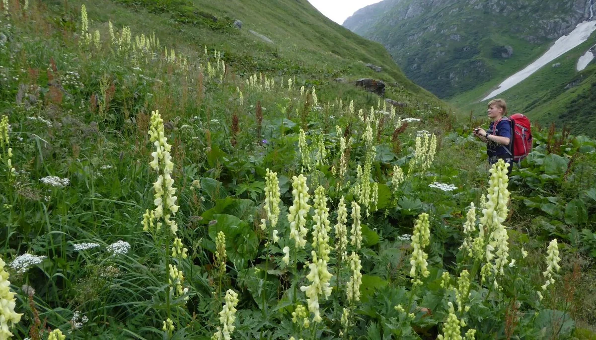 © DAV Sektion Zorneding