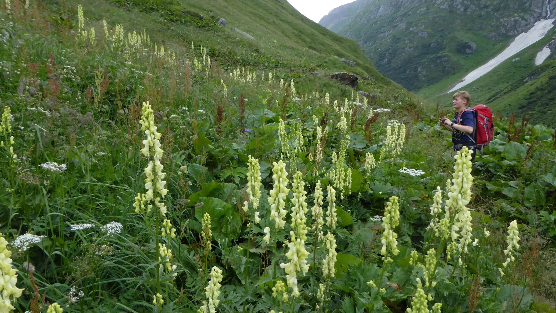 © DAV Sektion Zorneding